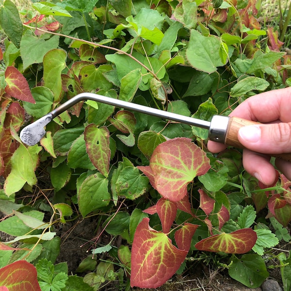 Uno strumento unico ed indispensabile per tutti i giardinieri