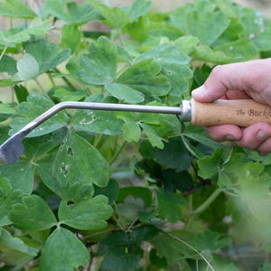 Your New Favourite Garden Tool