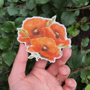 Summer flower: Poppy vinyl sticker