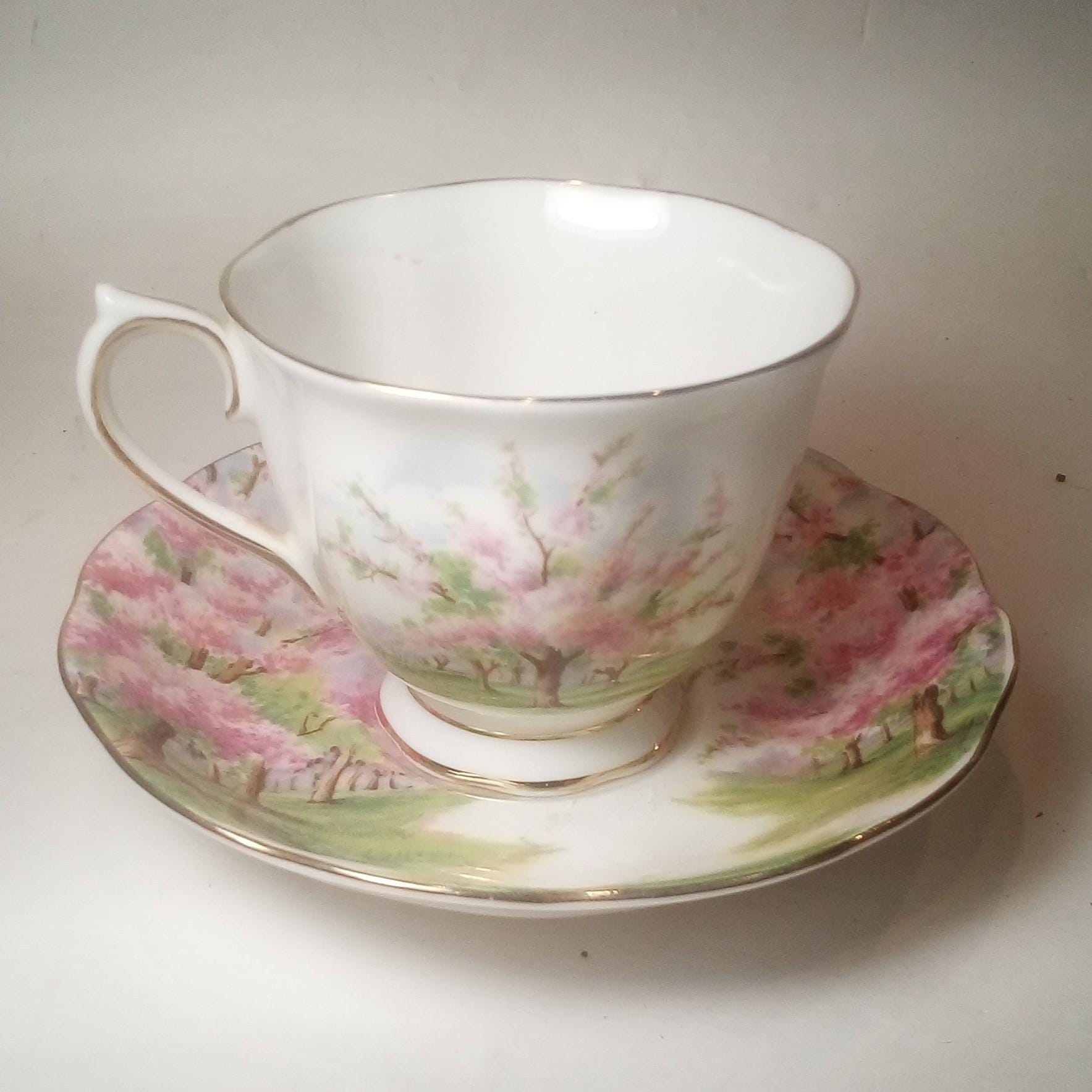 Royal Albert Blossom Time Footed Cup & Saucer Set Countess - Etsy