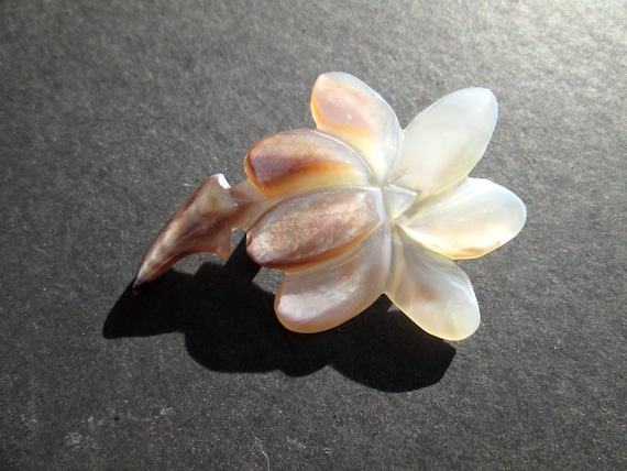 Sweet Vintage Brooch Pin Mother of Pearl MOP Hand… - image 2