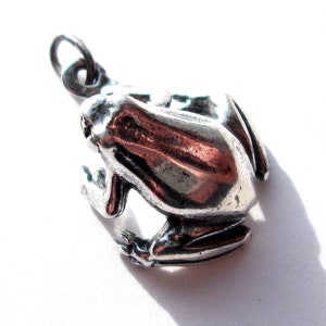 May include: A silver charm in the shape of a frog. The frog is sitting with its legs tucked under its body. The charm has a loop at the top for attaching to a bracelet or necklace.