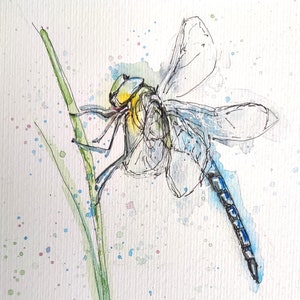 Dragonfly original small abstract painting in watercolour and pen, affordable fine art of British Insect, sketch of an emperor dragonfly