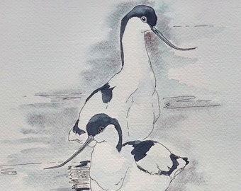 Avocet painting original art, watercolour British bird wall art, an original wildlife painting of a pair of avocets by EdieBrae