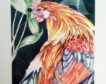 Cockerel limited edition giclee print from watercolour, colourful jungle fowl rooster print, affordable art for your wall by EdieBrae