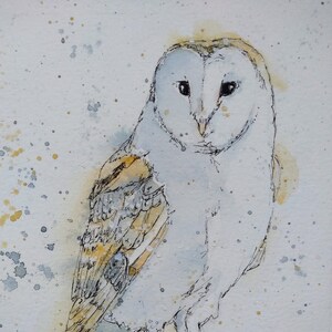 Barn owl original painting in watercolour and pen, wild bird wildlife art, an original fine art picture of a barn owl by EdieBrae