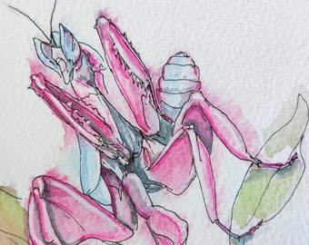 Orchid flower mantis original small abstract painting in watercolour and pen, affordable fine art of Insect, sketch of praying mantis