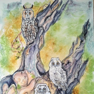 An original long eared owl painting in watercolour and pen, wildlife artwork of birds, fine art long eared owl and owlets by Edie Brae