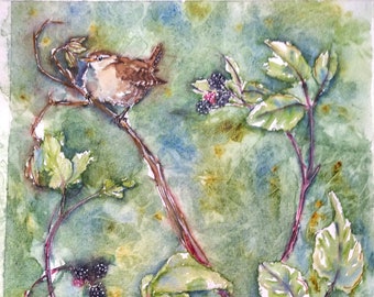 Wren painting original watercolour bird art, one off painting of a wren and hoverfly in watercolour and pen for your wall by EdieBrae