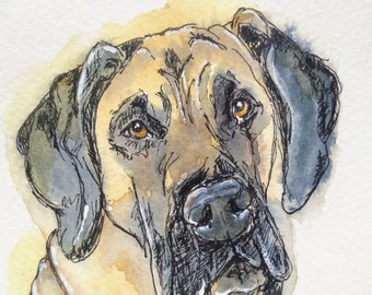 Fawn great Dane dog painting, small original watercolour, expressive pet portrait, small picture of a great Dane for your wall by EdieBrae