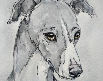 Original watercolour painting of a whippet, expressive pet portrait picture, dog lovers present, affordable art by Edie Brae