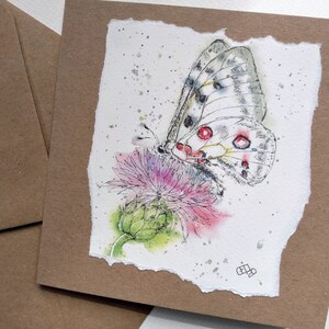 Tarjeta de felicitación en blanco de la mariposa Apolo de mi pintura, tarjeta de cumpleaños hecha a mano de insecto, tarjeta del día de la madre del amante de las mariposas por EdieBrae