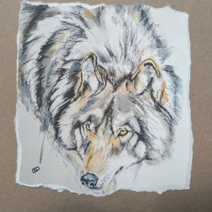 Carte de voeux fait main de loup de ma peinture d’aquarelle, carte d’anniversaire de la faune pour lui ou elle, carte d’amoureux de loup par EdieBrae