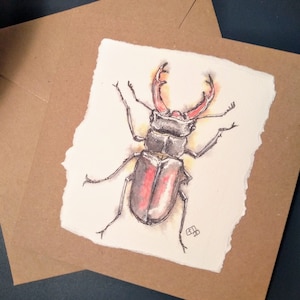 Carte de voeux faite main de coléoptère de mon stylo et de ma peinture à l'aquarelle, carte d'anniversaire d'un insecte pour lui, elle, carte de scarabée par EdieBrae