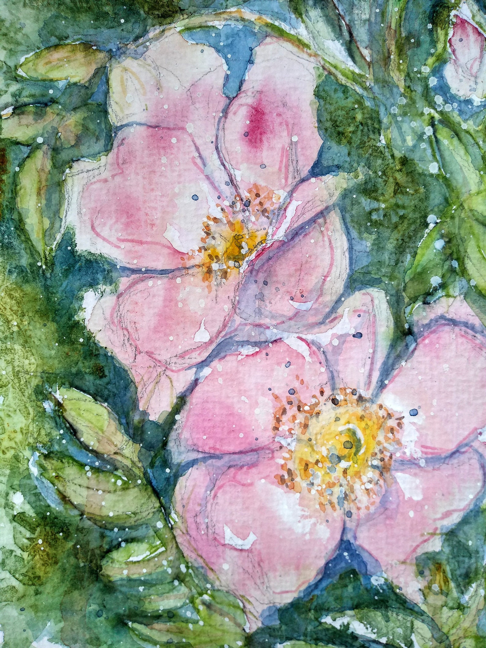 Watercolour Wild Roses Wild Rose Original Watercolour Painting of Wild Flowers, an Original ...