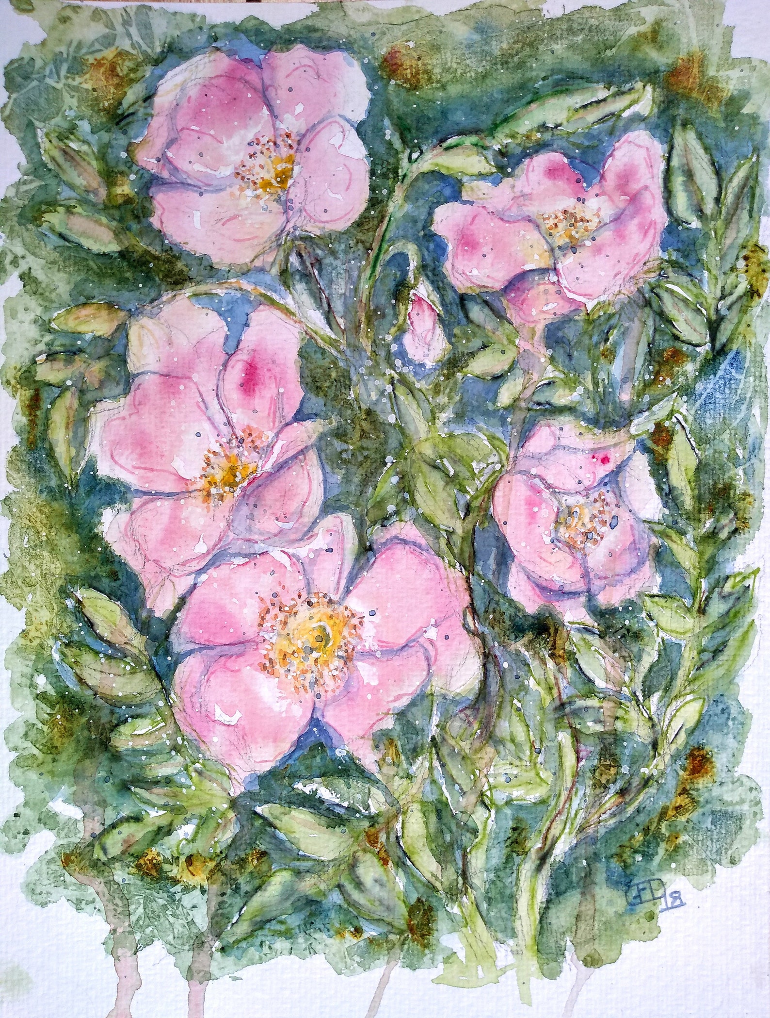 Watercolour Wild Roses Wild Rose Original Watercolour Painting of Wild Flowers, an Original ...