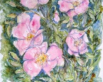 Wild rose original watercolour painting of wild flowers, an original illustration of wild roses by EdieBrae