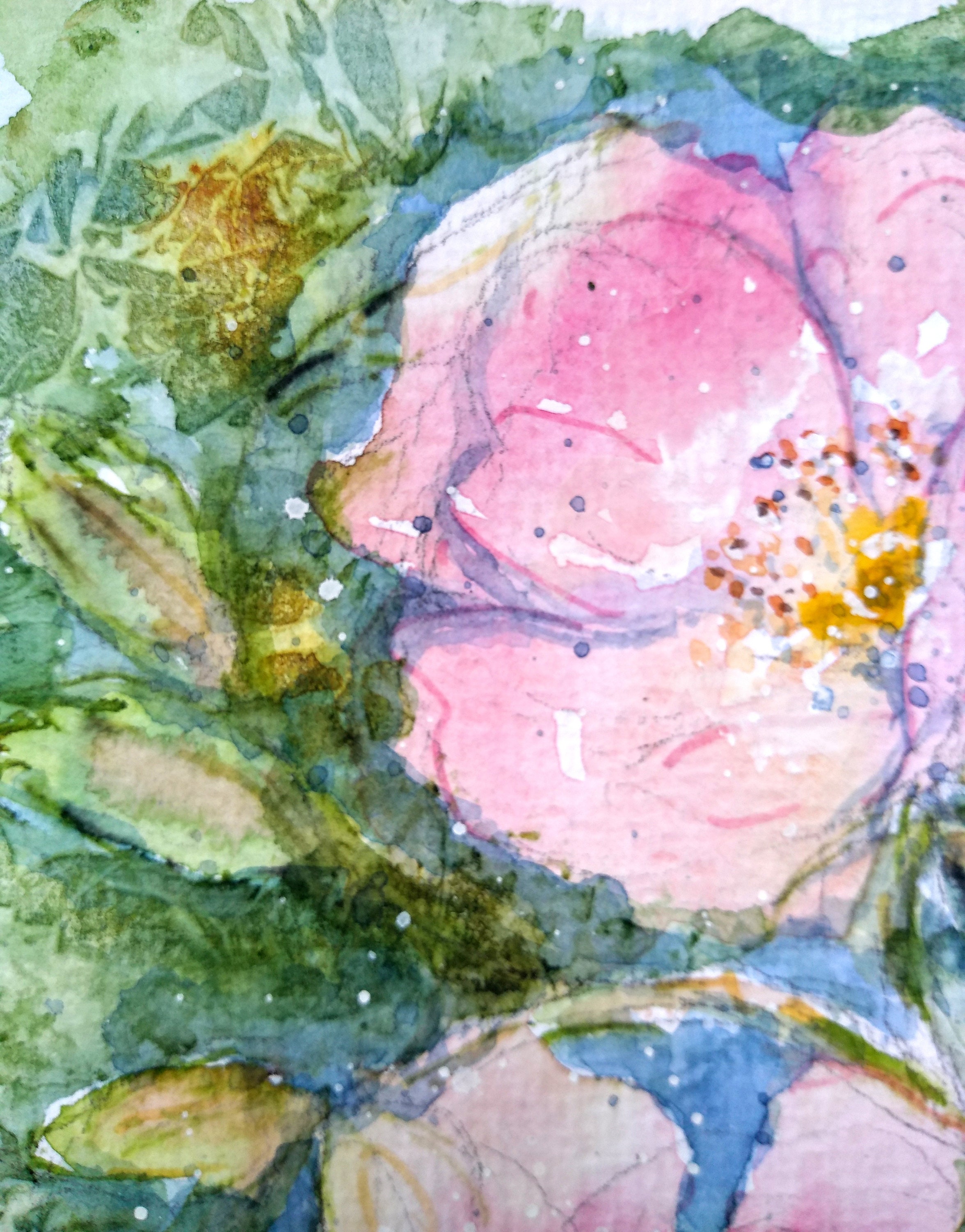 Watercolour Wild Roses Wild Rose Original Watercolour Painting of Wild Flowers, an Original ...