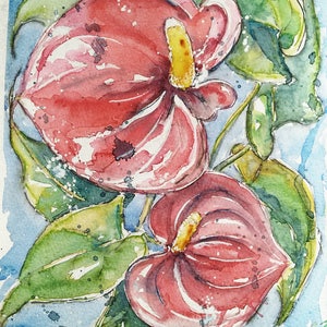 Original anthurium painting flower art watercolour of red flowers, a one off watercolour painting of my red Anthurium flower by EdieBrae