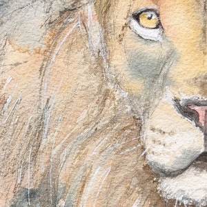 Original lion painting in watercolour, affordable wildlife art by Edie Brae image 4