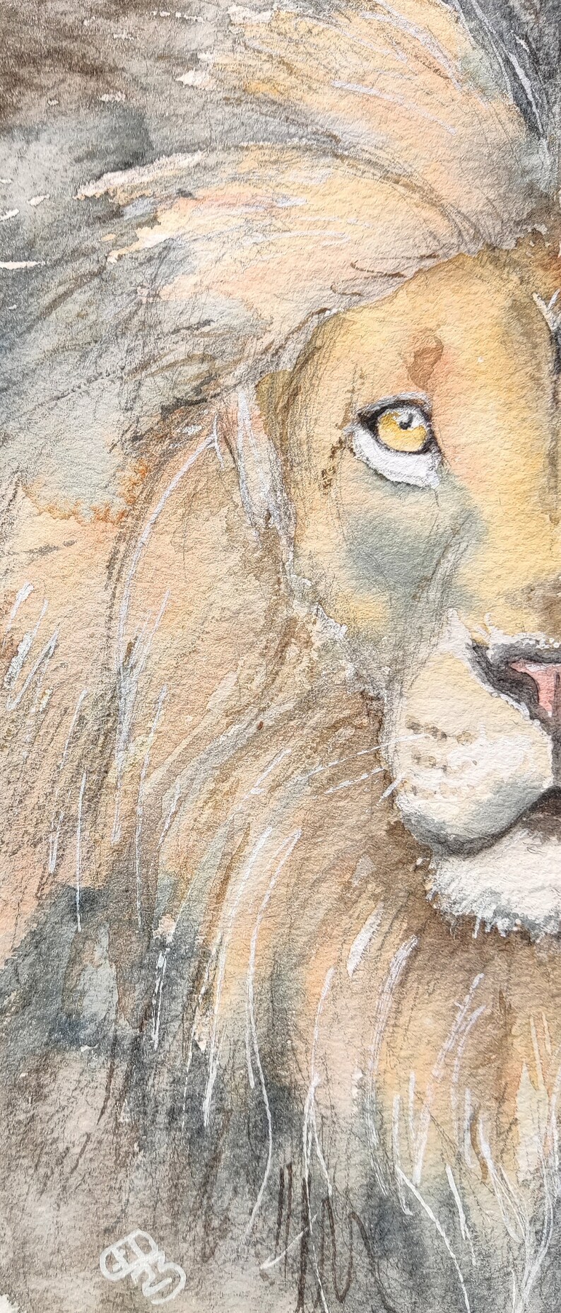 Original lion painting in watercolour, affordable wildlife art by Edie Brae image 4