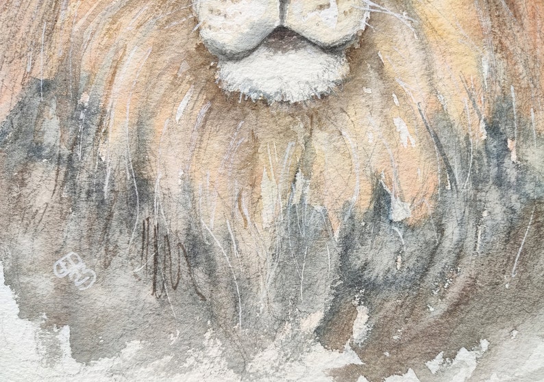 Original lion painting in watercolour, affordable wildlife art by Edie Brae image 3