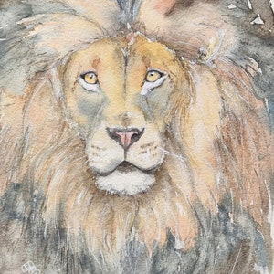 Original lion painting in watercolour, affordable wildlife art by Edie Brae image 1