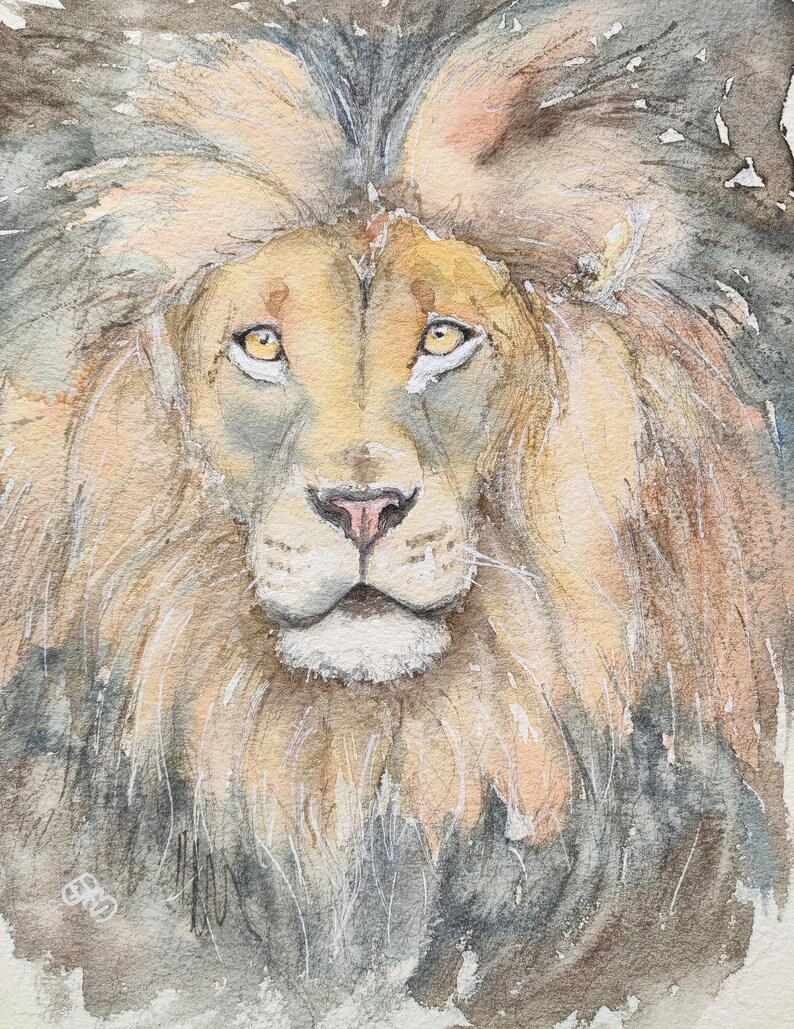 Original lion painting in watercolour, affordable wildlife art by Edie Brae image 1