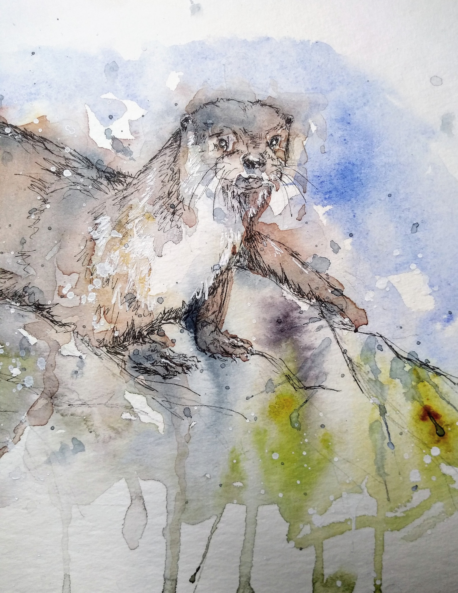 Otter Painting Art Original Watercolour Wildlife Painting, an Original