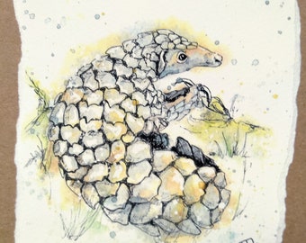 Pangolin blank greetings card from my watercolour painting, birthday card of wildlife for him or her, pangolin lover's card by EdieBrae