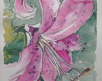 Pink lily flower art watercolour painting, an original one off watercolour painting of a garden Tiger Lily by EdieBrae