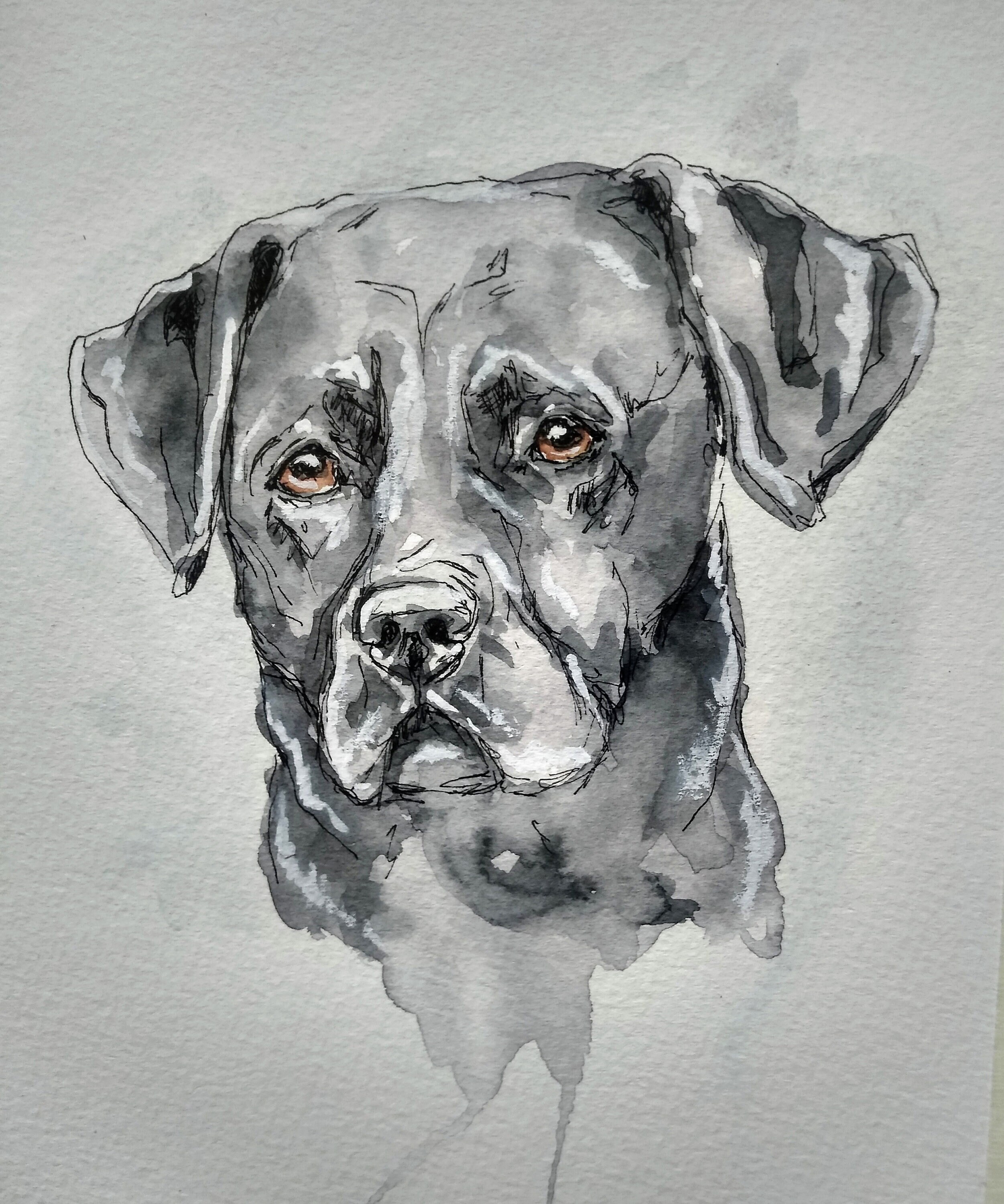 Pet Projects : Paint a Dog Portrait in Watercolor