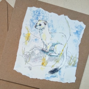 Carte de vœux faite à la main à l'hermine, hermine blanche en hiver, carte de Noël d'animaux sauvages de belette à partir d'une aquarelle originale d'EdieBrae UK