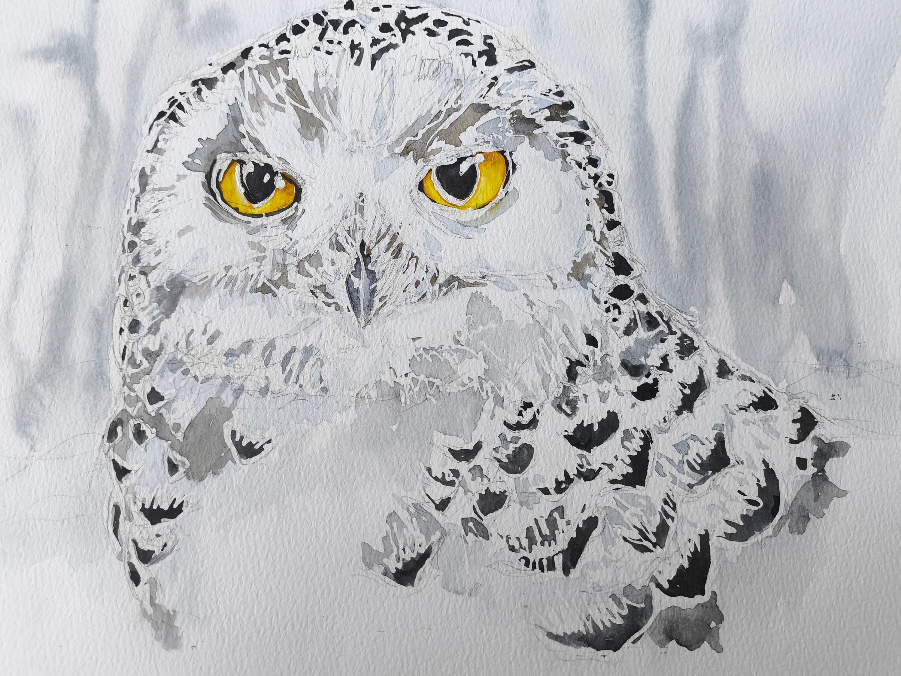 Snowy owl original watercolour painting, winter wildlife artwork by Edie Brae