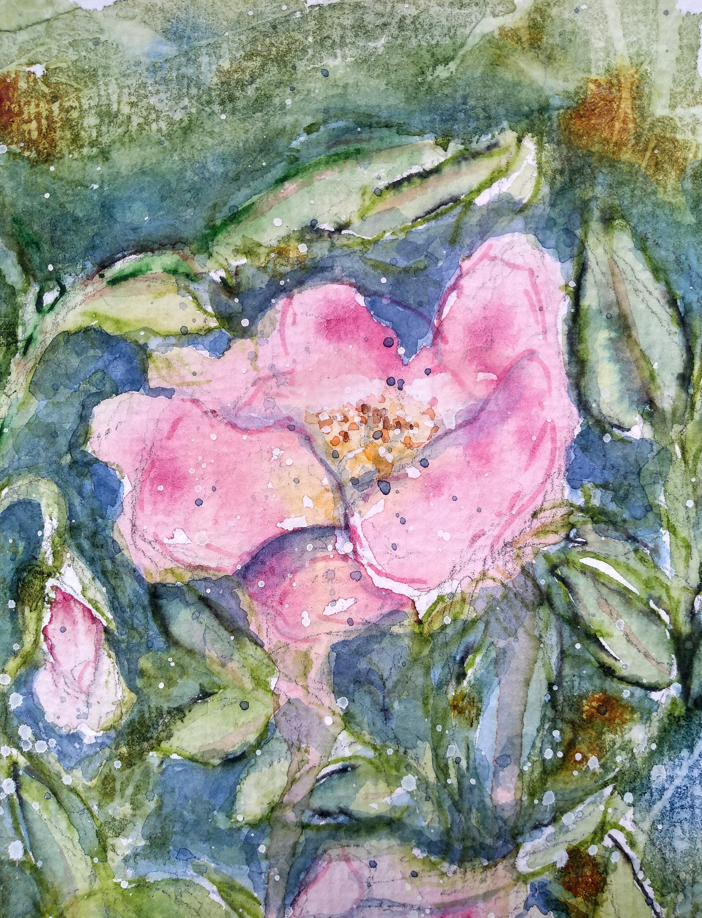 Watercolour Wild Roses Wild Rose Original Watercolour Painting of Wild Flowers, an Original ...