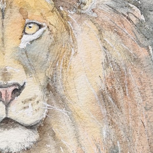 Original lion painting in watercolour, affordable wildlife art by Edie Brae image 5