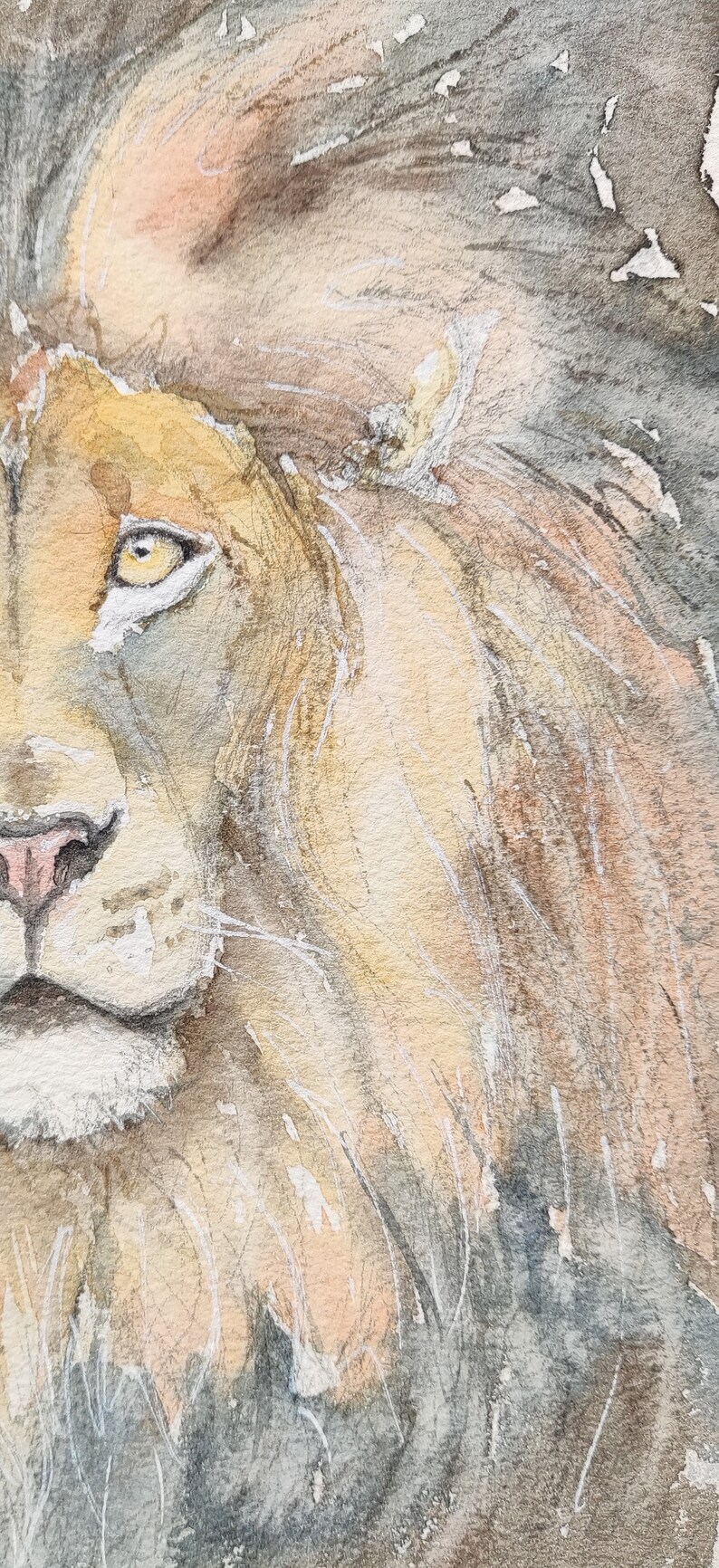 Original lion painting in watercolour, affordable wildlife art by Edie Brae image 5