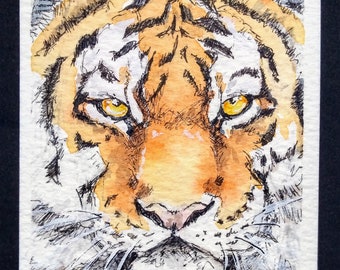 Tiger aceo card original of a big cat, 2.5" x 3.5" wildlife miniature painting, a one only artist trading card of a tiger by EdieBrae