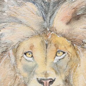 Original lion painting in watercolour, affordable wildlife art by Edie Brae image 2