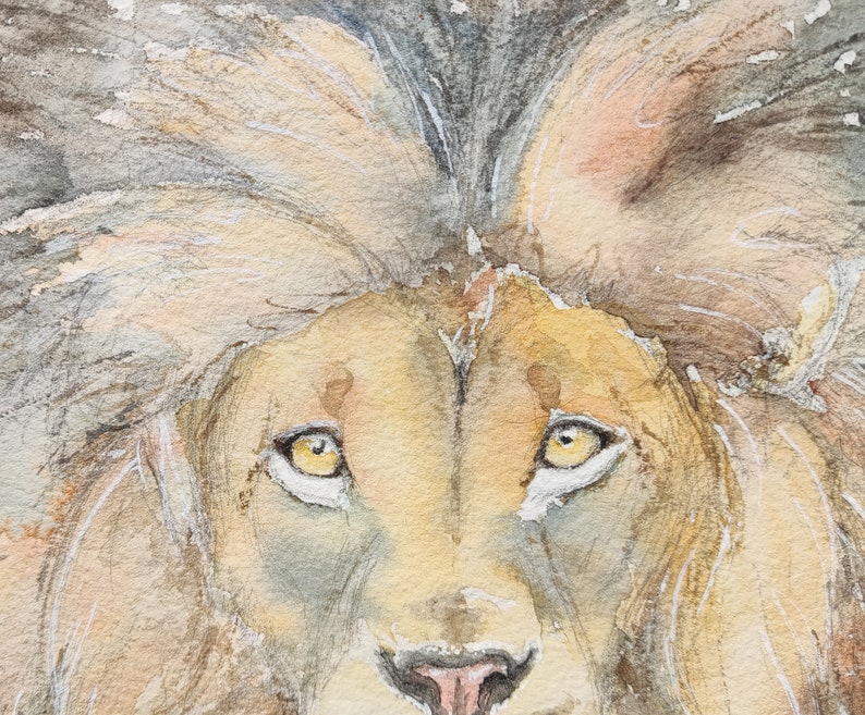 Original lion painting in watercolour, affordable wildlife art by Edie Brae image 2