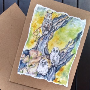 Tarjeta de felicitación hecha a mano de búho de orejas largas, tarjeta artesanal de cumpleaños en blanco para él, ella, bellas artes de vida silvestre de aves británicas por Edie Brae