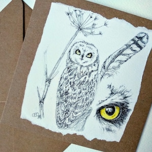 Carte vierge faite main de hibou des marais d'après mon dessin original au stylo, une carte de voeux de la faune britannique, carte d'anniversaire de hibou par EdieBrae
