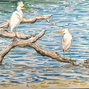 Cattle egret wild bird watercolour painting,  original art painted at  Le Brenne France  Cattle Egrets and Cistude (pond terrapin), EdieBrae