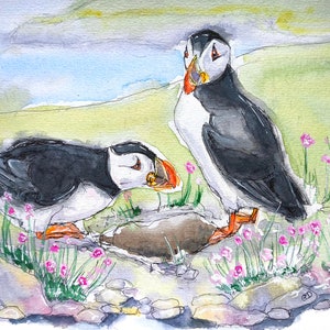 Puffin original watercolour painting, a wildlife artwork of nesting puffins in sea thrift Farne Islands, Northumberland
