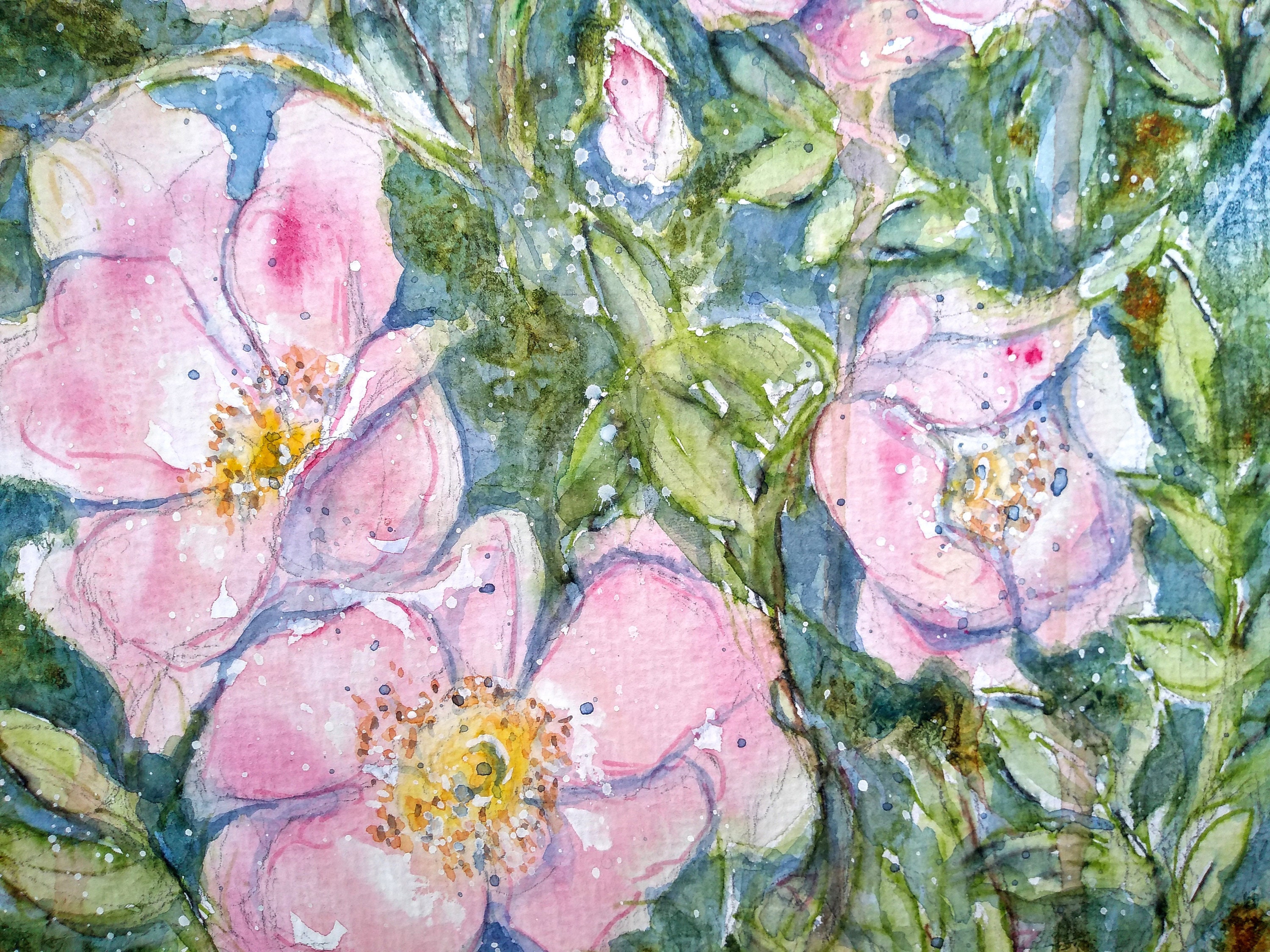 Watercolour Wild Roses Wild Rose Original Watercolour Painting of Wild Flowers, an Original ...