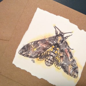 Carte de voeux faite main de sphinx tête de mort d'après ma peinture, carte d'anniversaire d'un insecte pour lui, elle, carte de sphinx par EdieBrae