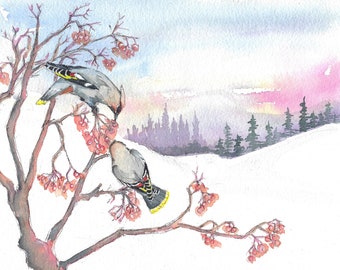 Waxwings original watercolour painting, British bird fine art, winter wildlife picture of a group of beautiful waxwings  by Edie Brae