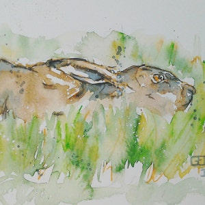 Brown hare painting original wildlife art in watercolour, one off sketch by EdieBrae