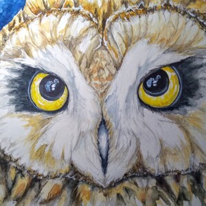 Short eared owl painting original watercolour of British wildlife 11&quot;x15&quot;, one off watercolour artwork of a short eared owl by Edie Brae
