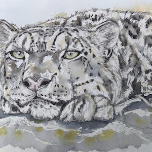 Snow leopard painting, original watercolour wildlife art, one off big cat portrait, a watercolour painting of a snow leopard by Edie Brae